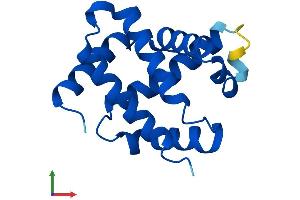 AlphaFold protein structure predicition of Human Recombinant HBM Protein, UniprotID Q6B0K9
