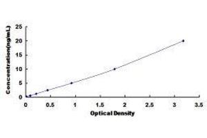 ELISA image for Annexin A5 (ANXA5) ELISA Kit (ABIN414955)