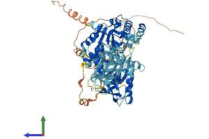 AlphaFold protein structure predicition of Mouse Recombinant Pif1 Protein, UniprotID Q80SX8