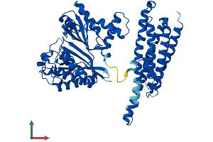 AlphaFold protein structure predicition of Mouse Recombinant Ftcd Protein, UniprotID Q91XD4