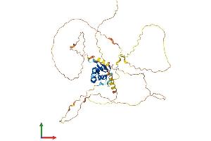AlphaFold protein structure predicition of Human Recombinant FOXD4 Protein, UniprotID Q12950