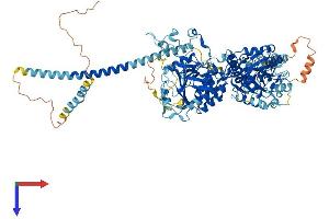 AlphaFold protein structure predicition of Mouse Recombinant Extl3 Protein, UniprotID Q9WVL6