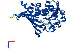 AlphaFold protein structure predicition of Human Recombinant CRYM Protein, UniprotID Q14894