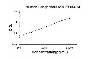 CD207 Molecule, Langerin (CD207) ELISA Kit