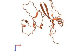 AlphaFold protein structure predicition of Human Recombinant FAM106A Protein, UniprotID Q4KMX7