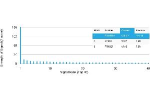 Protein Array (PAr) image for anti-Platelet Derived Growth Factor Receptor alpha (PDGFRA) antibody (ABIN7455972) (PDGFRA anticorps)