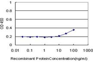 Detection limit for recombinant GST tagged HEYL is approximately 10ng/ml as a capture antibody. (HEYL anticorps  (AA 221-327))