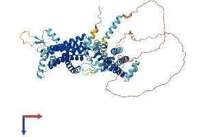 AlphaFold protein structure predicition of Human Recombinant NDC1 Protein, UniprotID Q9BTX1