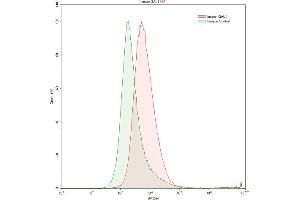 Detection of GAL1 in K562 human chronic myelogenous leukemia cell line using Polyclonal Antibody to Galectin 1 (GAL1)