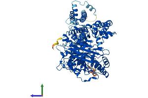AlphaFold protein structure predicition of Human Recombinant CPT1B Protein, UniprotID Q92523