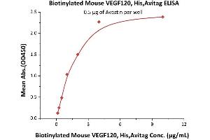 Immobilized Avastin at 5 μg/mL (100 μL/well) can bind Biotinylated Mouse VEGF120, His,Avitag (ABIN5674612,ABIN6809988) with a linear range of 0.