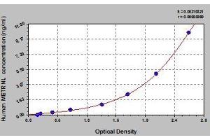 Typical standard curve (METRNL Kit ELISA)