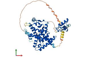 AlphaFold protein structure predicition of Mouse Recombinant Ppard Protein, UniprotID P35396