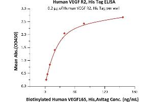 Immobilized Human VEGF R2, His Tag (ABIN2181917,ABIN6253722) at 2 μg/mL (100 μL/well) can bind Biotinylated Human VEGF165, His,Avitag (ABIN4949041,ABIN4949042) with a linear range of 2-39 ng/mL (QC tested). (VEGFR2/CD309 Protein (AA 20-764) (His tag))