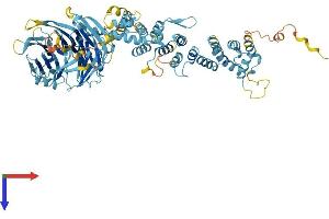 AlphaFold protein structure predicition of Human Recombinant HPS6 Protein, UniprotID Q86YV9