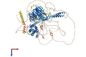 AlphaFold protein structure predicition of Human Recombinant ARHGEF10 Protein, UniprotID O15013