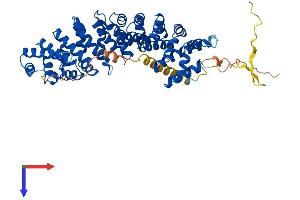 AlphaFold protein structure predicition of Mouse Recombinant Kpna6 Protein, UniprotID O35345