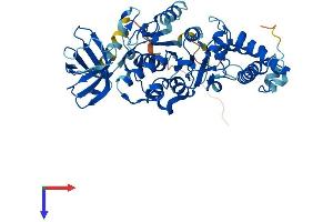 AlphaFold protein structure predicition of Human Recombinant ATP6V1B2 Protein, UniprotID P21281
