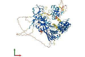 AlphaFold protein structure predicition of Mouse Recombinant Dgkz Protein, UniprotID Q80UP3