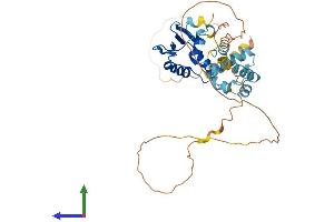 AlphaFold protein structure predicition of Human Recombinant ELF3 Protein, UniprotID P78545