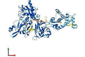 AlphaFold protein structure predicition of Mouse Recombinant Capn9 Protein, UniprotID Q9D805