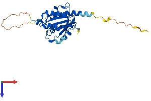 AlphaFold protein structure predicition of Mouse Recombinant Rab20 Protein, UniprotID P35295