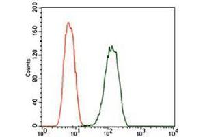 Flow cytometric analysis of A549 cells using PDE1B mouse mAb (green) and negative control (red).