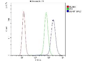 Flow Cytometry analysis of A431 cells using anti-DDAH1 antibody (ABIN4886560). (DDAH1 anticorps  (C-Term))