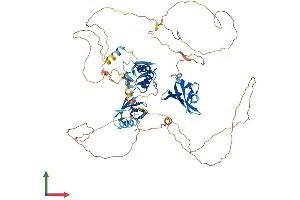 AlphaFold protein structure predicition of Human Recombinant DVL1 Protein, UniprotID O14640