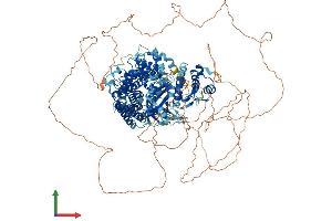 AlphaFold protein structure predicition of Mouse Recombinant Alpk1 Protein, UniprotID Q9CXB8
