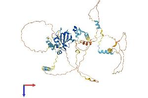 AlphaFold protein structure predicition of Mouse Recombinant Ncbp3 Protein, UniprotID Q8BZR9