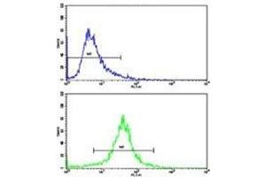 Flow cytometric analysis of 293 cells using IDH antibody (bottom histogram) compared to a negative control (top histogram). (IDH1 anticorps  (AA 63-90))