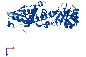 AlphaFold protein structure predicition of Mouse Recombinant Qprt Protein, UniprotID Q91X91