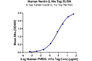 Immobilized Human Nectin-2, His Tag at 1 μg/mL (100 μL/well) on the plate.