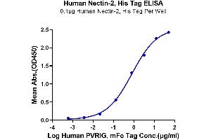 Immobilized Human Nectin-2, His Tag at 1 μg/mL (100 μL/well) on the plate. (PVRL2 Protein (AA 32-360) (His-Avi Tag))