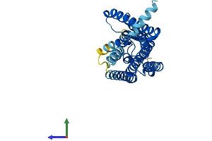 AlphaFold protein structure predicition of Mouse Recombinant Olfr143 Protein, UniprotID P34985