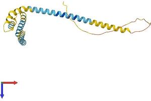AlphaFold protein structure predicition of Human Recombinant REEP1 Protein, UniprotID Q9H902