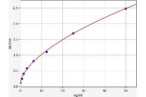 Typical standard curve (JAK3 Kit ELISA)