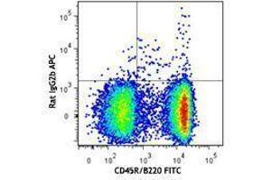 Flow Cytometry (FACS) image for anti-Chemokine (C-X-C Motif) Receptor 5 (CXCR5) antibody (APC) (ABIN2656983)