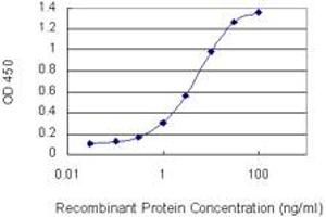 Detection limit for recombinant GST tagged B3GALT6 is 0.