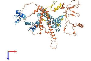 AlphaFold protein structure predicition of Human Recombinant ZNF195 Protein, UniprotID O14628