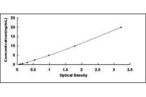 Typical standard curve (HNRNPK Kit ELISA)