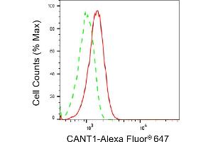 Flow cytometric analysis of CANT1 expression in C2C12 cells using CANT1 antibody (ABIN7797825), 1:2,000).