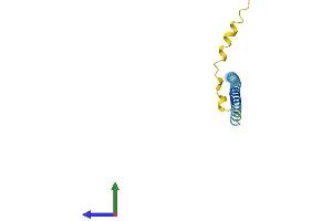 AlphaFold protein structure predicition of Mouse Recombinant Sncg Protein, UniprotID Q9Z0F7