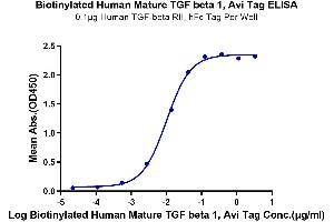 Immobilized Human TGF-beta RII, hFc Tag at 1 μg/mL (100 μL/well) on the plate. (TGFB1 Protein (AA 279-390) (AVI tag,Biotin))