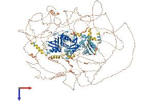 AlphaFold protein structure predicition of Human Recombinant MED1 Protein, UniprotID Q15648