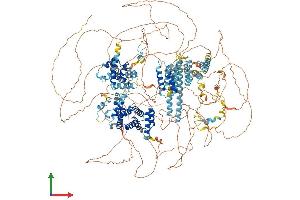 AlphaFold protein structure predicition of Mouse Recombinant Eif4g1 Protein, UniprotID Q6NZJ6