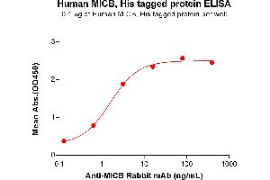 ELISA plate pre-coated by 1 μg/mL (100 μL/well) Human MICB protein, His Tag (ABIN6964108, ABIN7042471 and ABIN7042472) can bind Anti-MICB Rabbit mAb in a linear range of 0.
