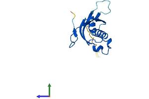AlphaFold protein structure predicition of Human Recombinant RPL31 Protein, UniprotID P62899