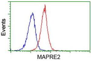 Flow cytometric Analysis of Jurkat cells, using anti-MAPRE2 antibody (ABIN2454553), (Red), compared to a nonspecific negative control antibody, (Blue). (MAPRE2 anticorps)